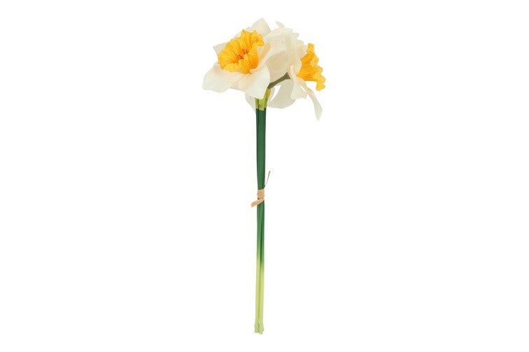 Narcissen