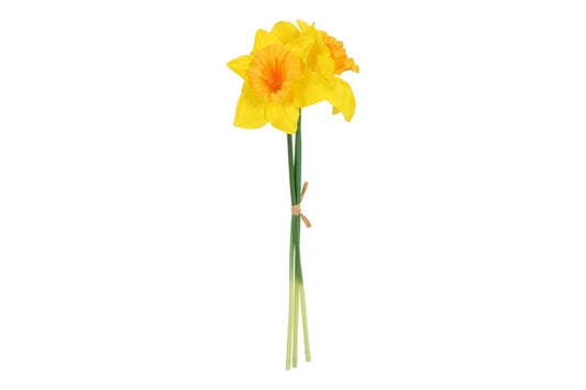 Narcissen