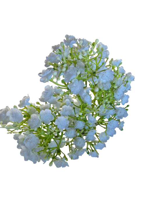 Gypsophilia