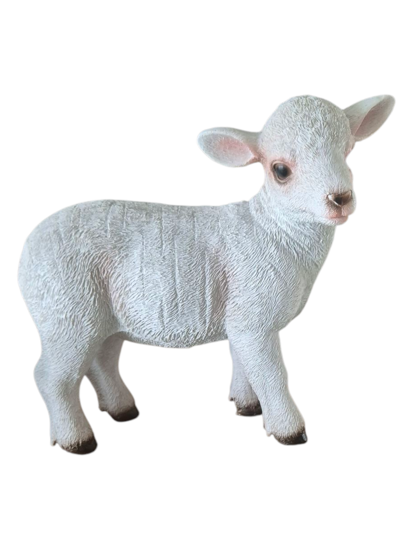 Lammetje