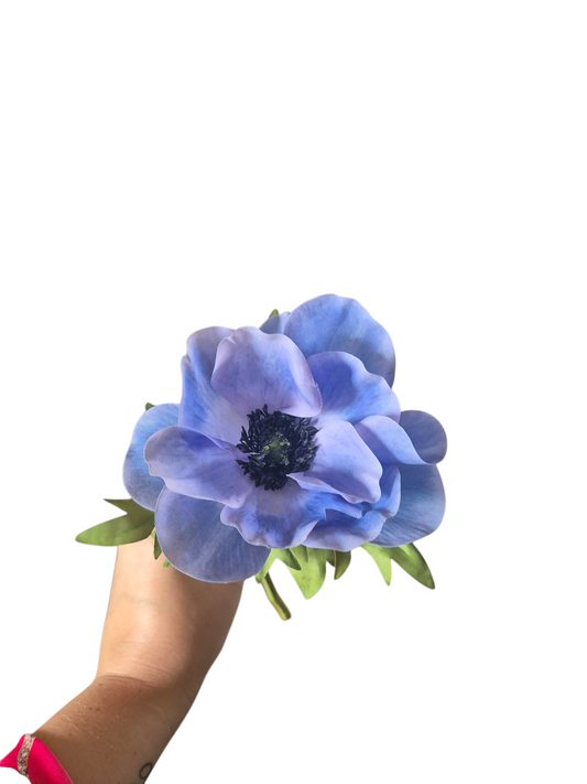 Ice blauw anemoon